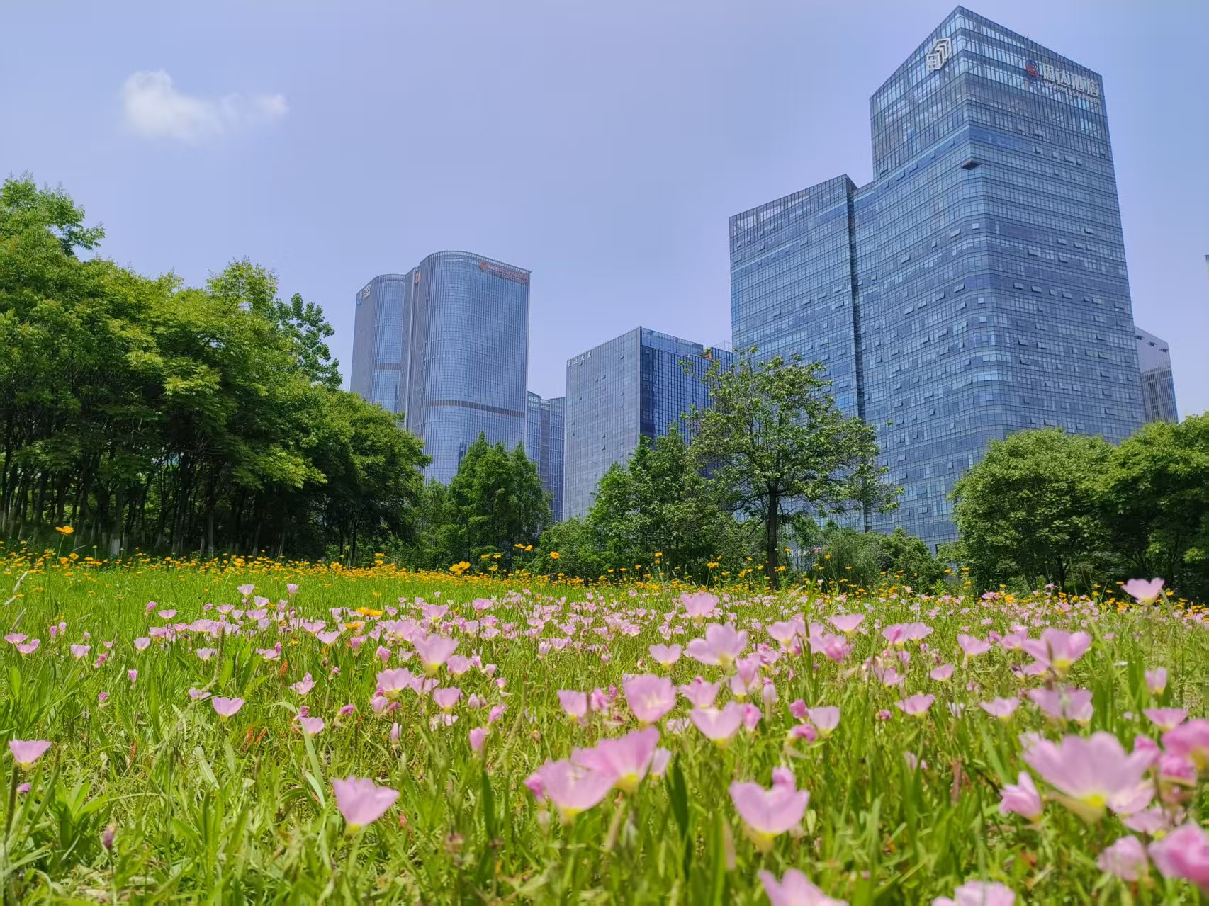 中福广场.jpg 中福广场.jpg